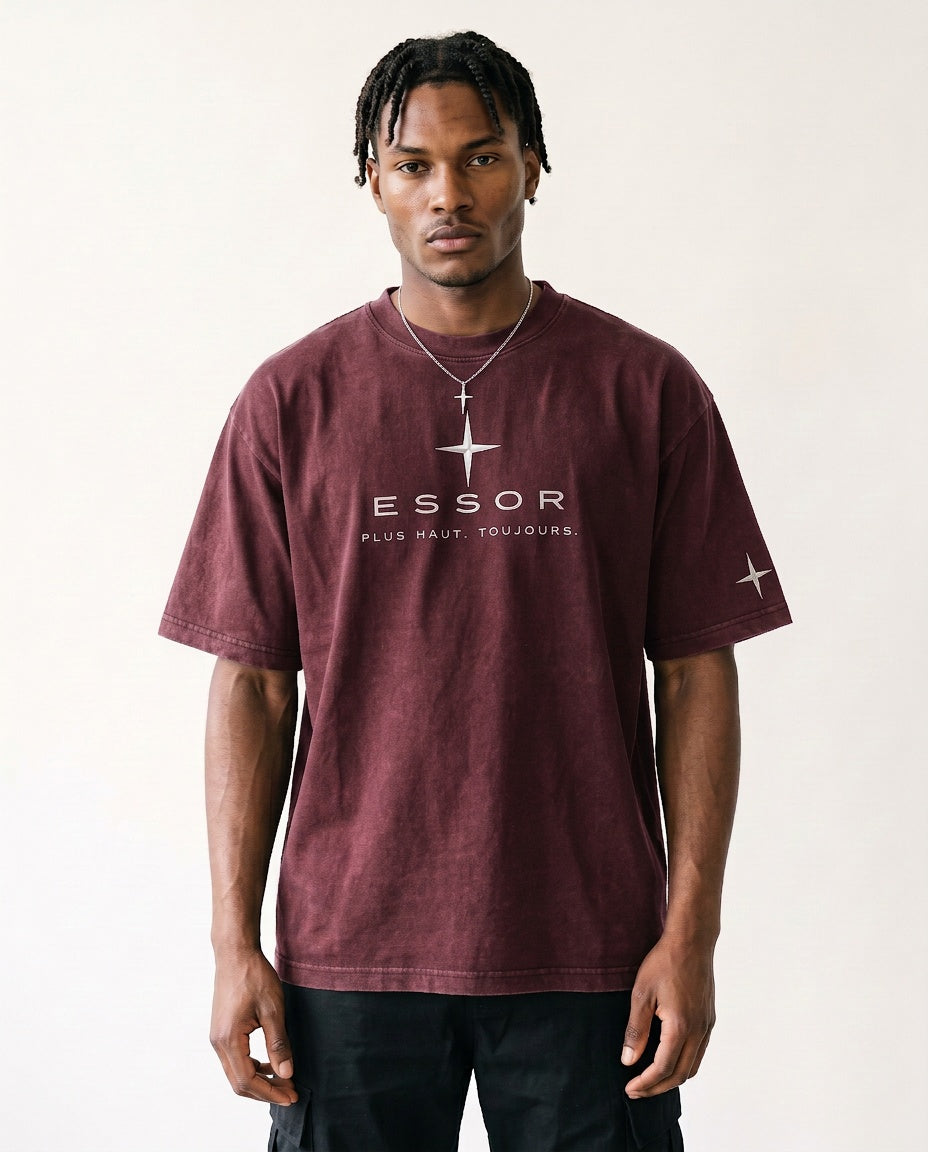 T-Shirt «Globe», Bordeaux, Herren-Model, von vorne